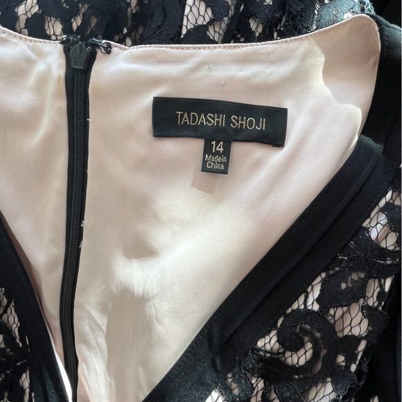 Tadashi Shoji Fit and Flare Black/Blush Stretch Lace Dress Sz 14 - Picture 5 of 8